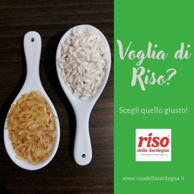 È molto importante scegliere il riso giusto in base a quello che si vuole preparare, perché a seconda della cottura cambia consistenza e risultato finale...
A ogni piatto il suo riso! 🌾  E voi,sapete scegliere quello giusto?  www.risodellasardegna.it  #riso #rice #risodellasardegna #risoitaliano #risoarborio #food #foodism #risograph #instafood #riseria #risos
